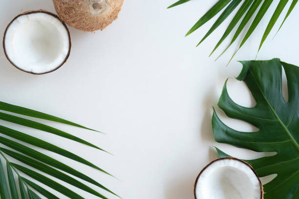 istock Tropical green palm leaf and cracked coconut on white background. 1301169687