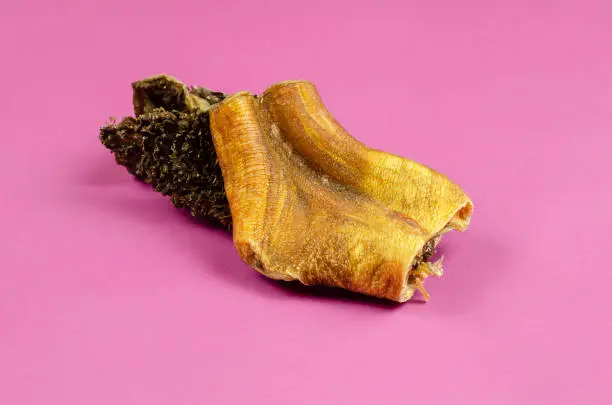Photo of Natural healthy treats for dogs of premium quality. Dried beef stomach, buffalo tripe on a pink background.