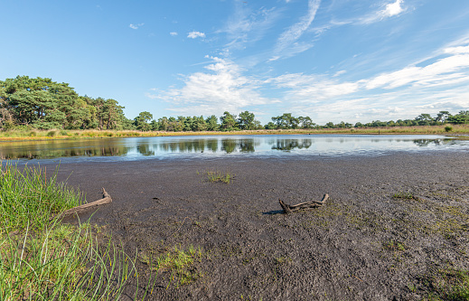 Summer scenery at Bombay Hook National Wildlife Refuge, Smyrma, Delaware, USA