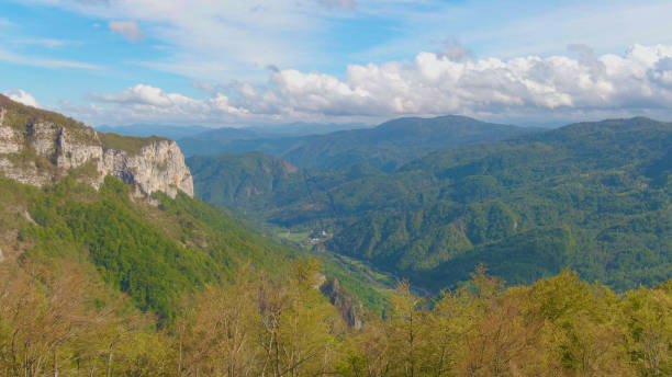 istock DRONE: Blue river flows across the vast valley covered in autumn-colored woods. 1301171326