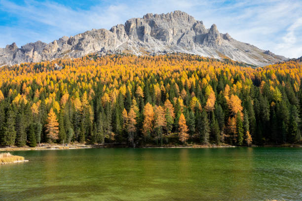 Photo of Picturesque view of a mountain towering over a fall colored forest and calm lake