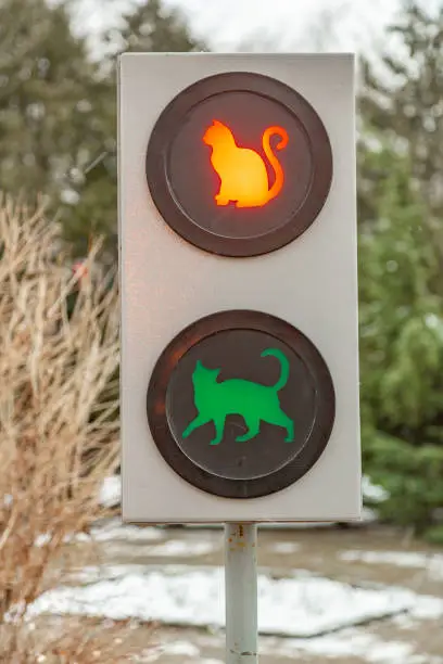 Photo of Unusual street traffic light with cats silhouettes