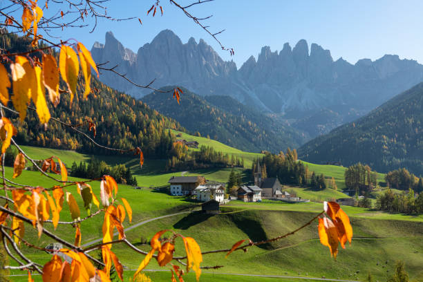istock CLOSE UP: Forest surrounding a remote village in the Dolomites changing colors. 1301175036