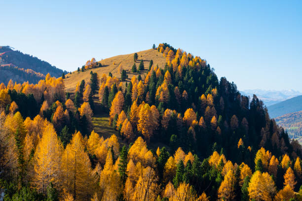 istock DRONE: Vibrant rural landscape in the Dolomites on a sunny fall afternoon. 1301175191
