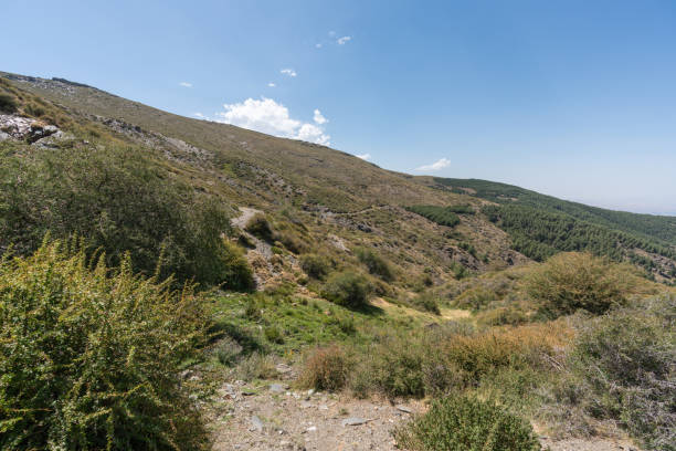 istock mountainous landscape in Sierra Nevada 1301175289