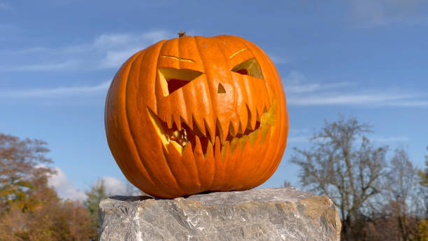 istock PORTRAIT: Halloween pumpkin decoration with evil laughing face 1301175541