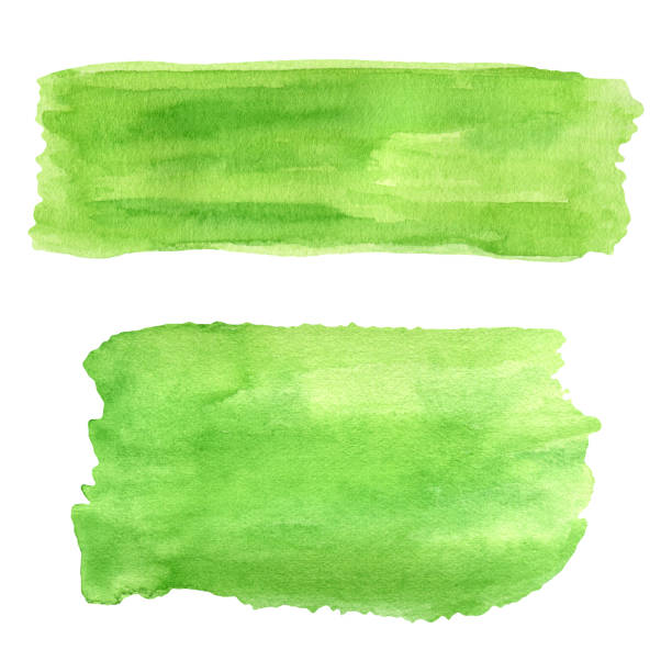 Watercolor green brushstrokes set. Hand painted brush smears isolated on white background. Abstract painted texture. Watercolor green brushstrokes set. Hand painted brush smears isolated on white background. Abstract painted texture watercolor painting striped abstract backgrounds stock illustrations