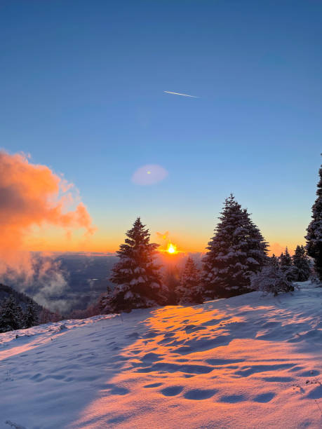 istock VERTICAL: Breathtaking golden evening sky spans above the wintry landscape. 1301179953
