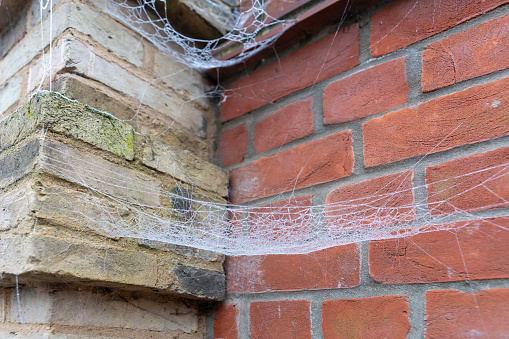 Spiderweb frozen white with ice crystals and fence in background on a cold winter day in England