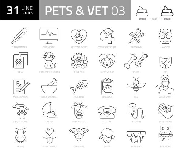 bildbanksillustrationer, clip art samt tecknat material och ikoner med husdjur och djur linje ikoner 3 - veterinär