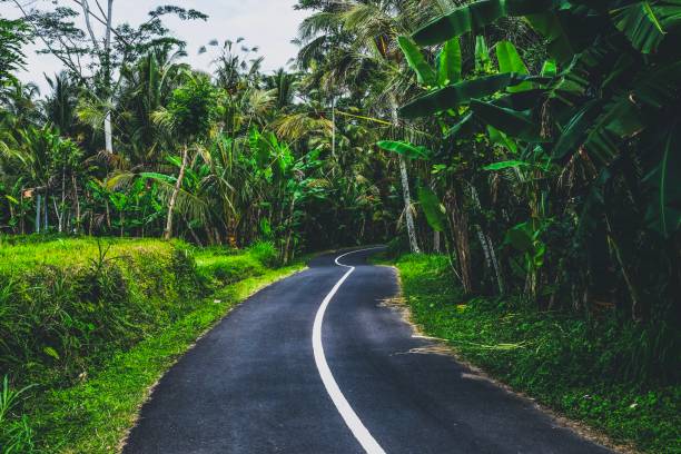 istock Road to the jungle 1301183622