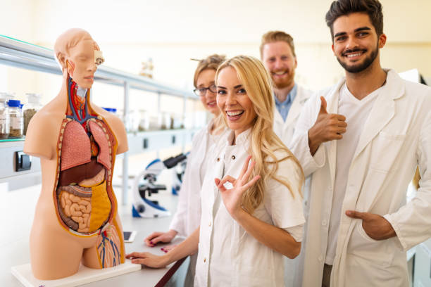 istock Students of medicine examining anatomical model in classroom 1301185887