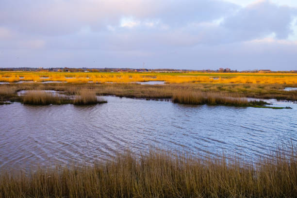 istock Sewer in Morning Light North Sea Coast 1301191251