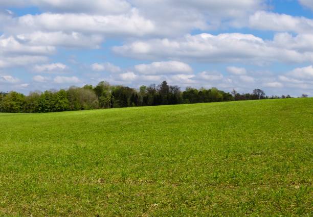 istock Rural Field and blue Sky 1301192480