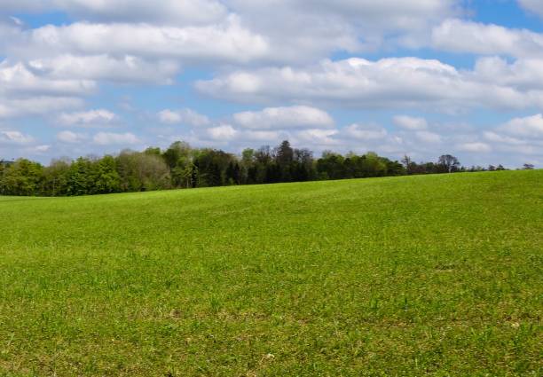 rural field and blue sky - altmühltal imagens e fotografias de stock