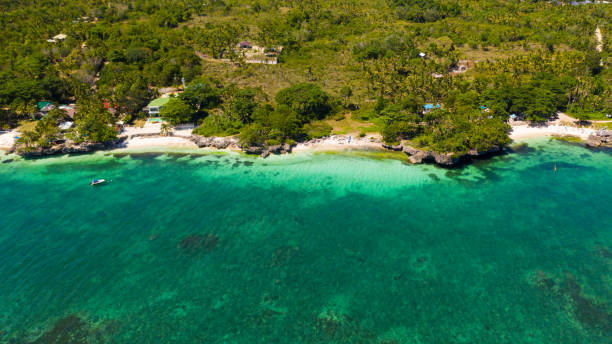 istock Beautiful beach and turquoise sea. Anda Bohol, Philippines 1301194160
