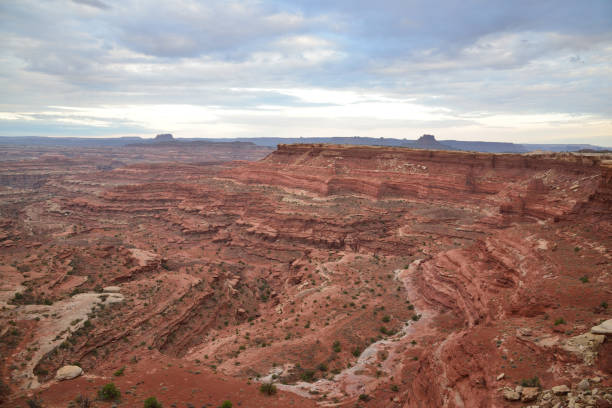 istock White Rim in Canyonlands National Park, Utah 1301194919