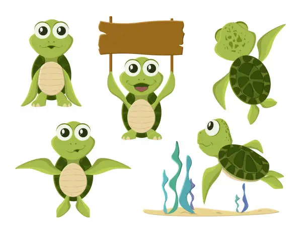 Vector illustration of Cartoon vector turtle in various action poses. Cartoon turtle. Cute tortoise wild animal vector characters isolated.