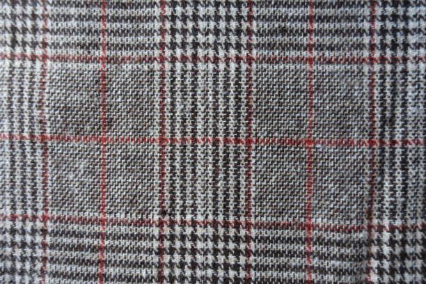istock Surface of gray and red Glen check fabric from above 1301196069
