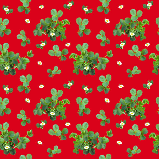 Beautiful seamless pattern with strawberry bush, can be used as packaging for fruit.