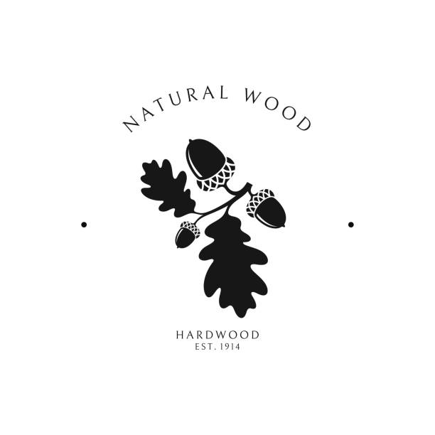 ilustrações, clipart, desenhos animados e ícones de logotipo de madeira natural - bolota