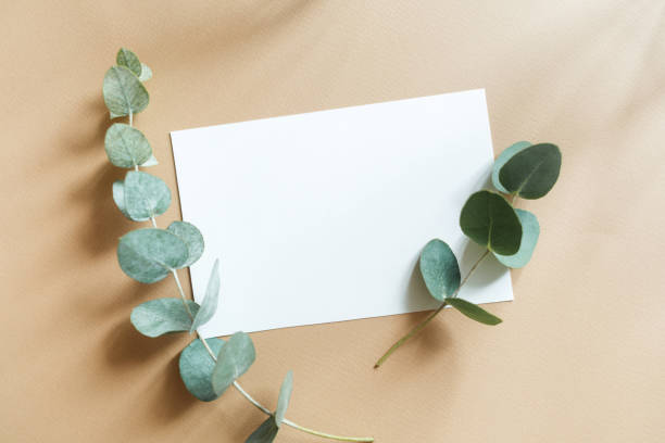 istock Blank white business greeting card mockup, fresh eucalyptus branches on beige table backgound. branding, template. soft shadow. flat lay 1301201617