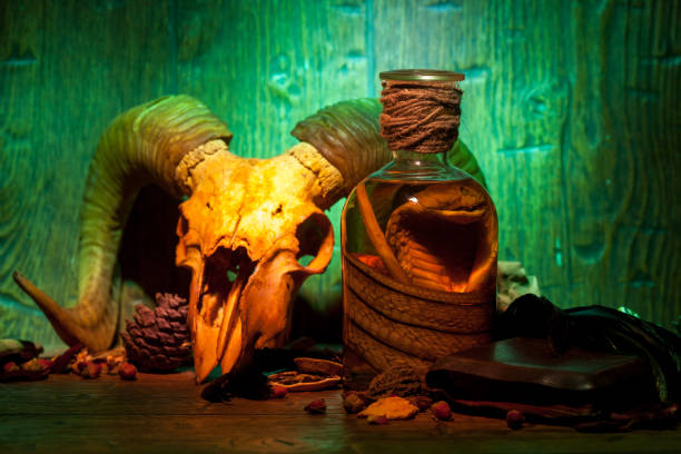 istock Vintage witchcraft still life with snake cobra and skulls. 1301201867