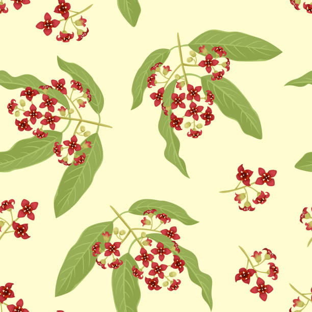 Seamless pattern with sandalwood branch with red flowers and green leaves on yellow. Floral background. Vector illustration of blooming plant in cartoon flat style. Seamless pattern with sandalwood branch with red flowers and green leaves on yellow. Floral background. Vector illustration of blooming plant in cartoon flat style. sandalwood stock illustrations
