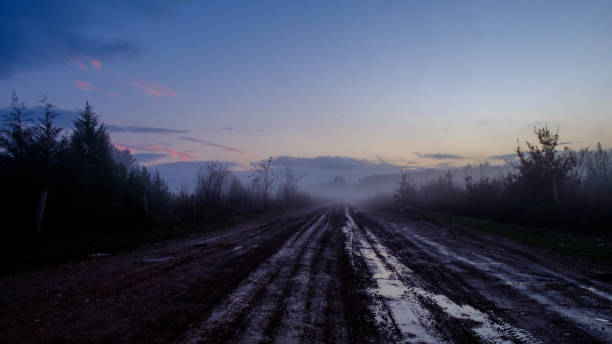istock Forest road in the first light of the morning. 1301208044