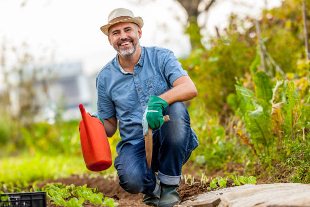 istock Smiling Farmer Holding Watering Can and Dibble in Vegetable Garden 1301208426