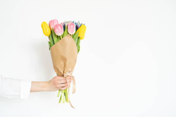 istock Hand holding multicolored flowers at white background 1301213278