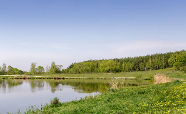 istock Large beautiful lake, with banks overgrown with forest. 1301215056