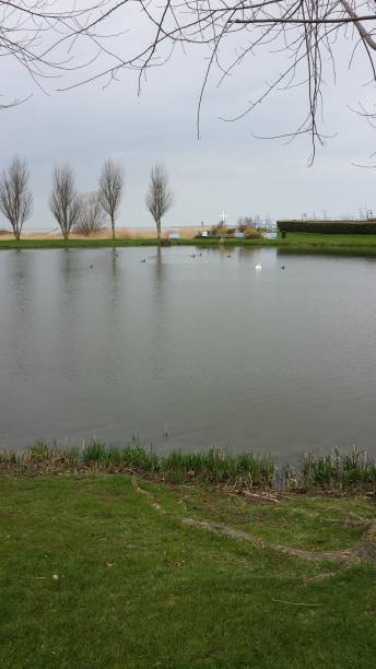 istock Lake with reflection of trees on the water 1301215873