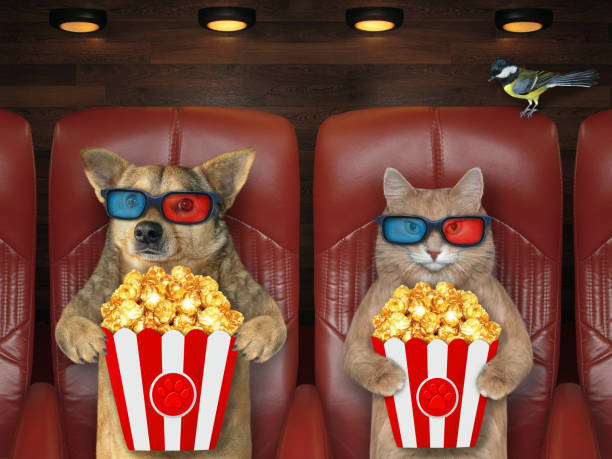 istock Pets in 3d glasses watching movie 1301219216