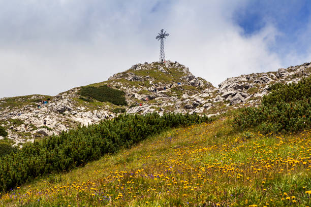 istock Mountain landscape in the Tatra National Park 1301220973
