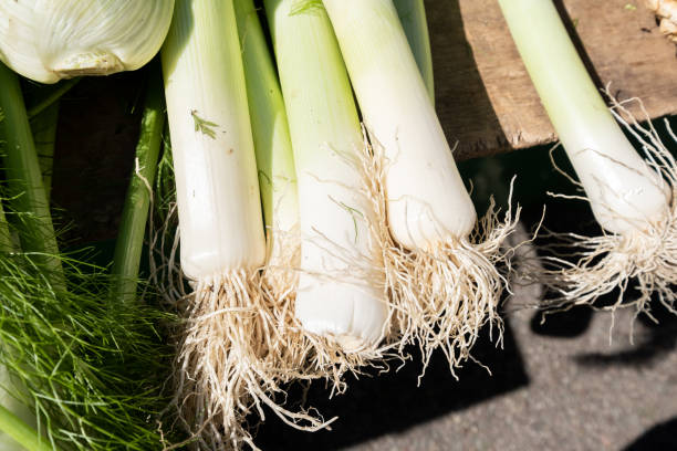 istock organic leeks at a small farmers market 1301221889