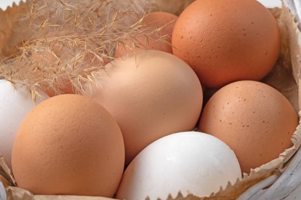 istock organic fresh chicken eggs in a basket on a light background 1301224389