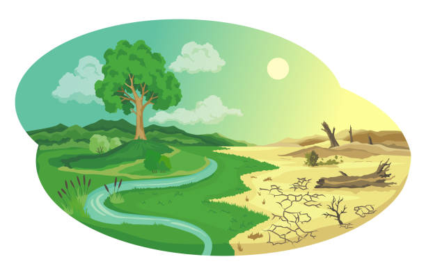 ilustrações, clipart, desenhos animados e ícones de ilustração de desertificação das mudanças climáticas. problemas ambientais globais. infográfico de degradação da terra. erosão do solo, desertificação. conceito de aquecimento global - global warming cracked dirt earth