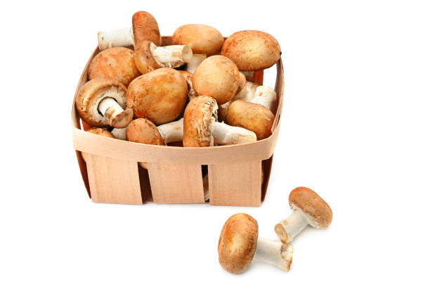 istock Fresh champignon mushrooms, isolated on white background 1301227484