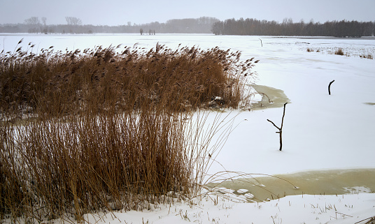 Winter landscape in Ilkerbruch, a nature reserve on the outskirts of the industrial city of Wolfsburg in Germany.