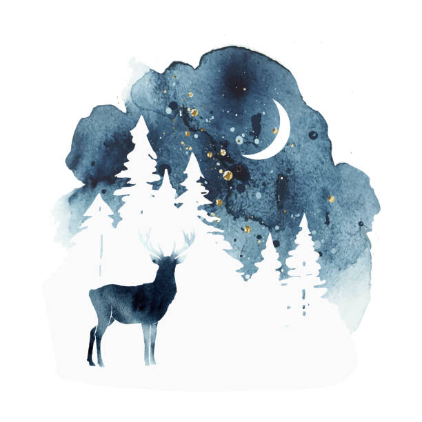 bildbanksillustrationer, clip art samt tecknat material och ikoner med vektor silhuett av renar. akvarell vinterlandskap med isolerade djur, himmel, måne och skog i blå och guldfärger. akvarell hjort vektor illustration och stänk. - moon forest
