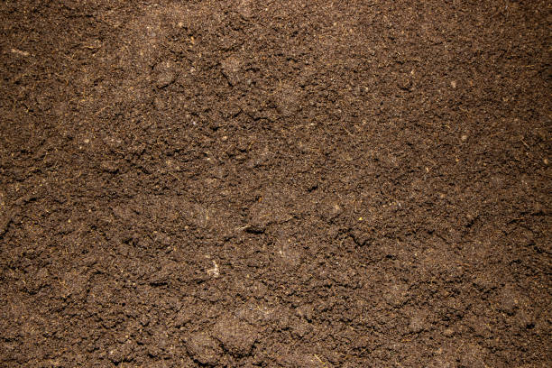 Close up photo of brown soil in a garden stock photo