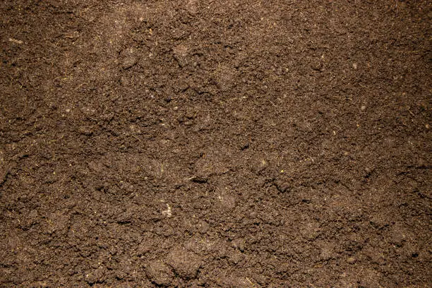 Photo of Close up photo of brown soil in a garden