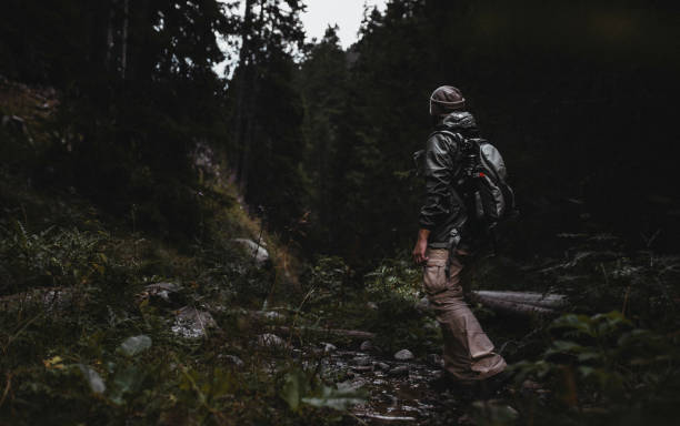 istock Hiking in a forest at fog 1301236992