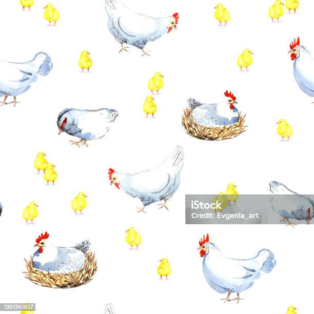 Chicken Vector Pattern Chicken Pattern Stock Illustration - Download Image Now - Agriculture ...