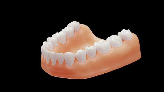 Realistic 3d modelled human teeth