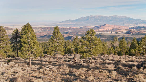 istock Drone Shot Looking Towards Capitol Reef National Park 1301243503