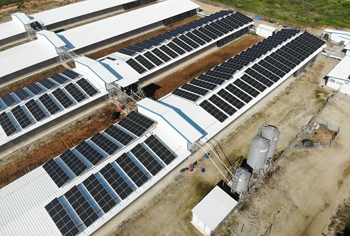 solar panels placed outdoor collecting sustainable renewable sun energy