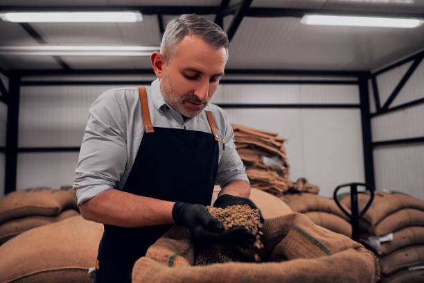 portret profesjonalnej palarni kawy patrzącej na surowe ziarna kawy. widok z bliska. - coffee contemporary arabica scented zdjęcia i obrazy z banku zdjęć