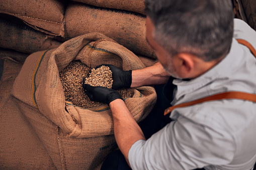 Coffee - farmer holding raw coffee bean, bag of coffee bean in the background, selective focus. Top view.